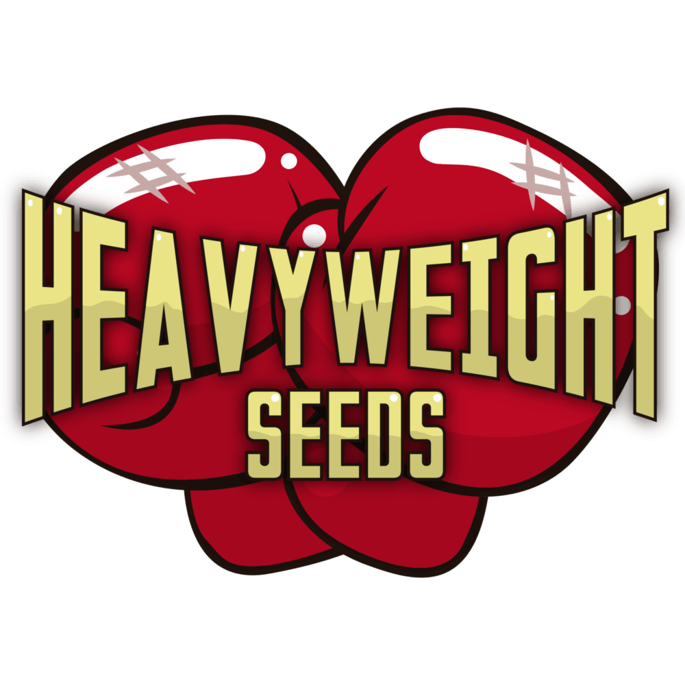 Heavyweight Seeds