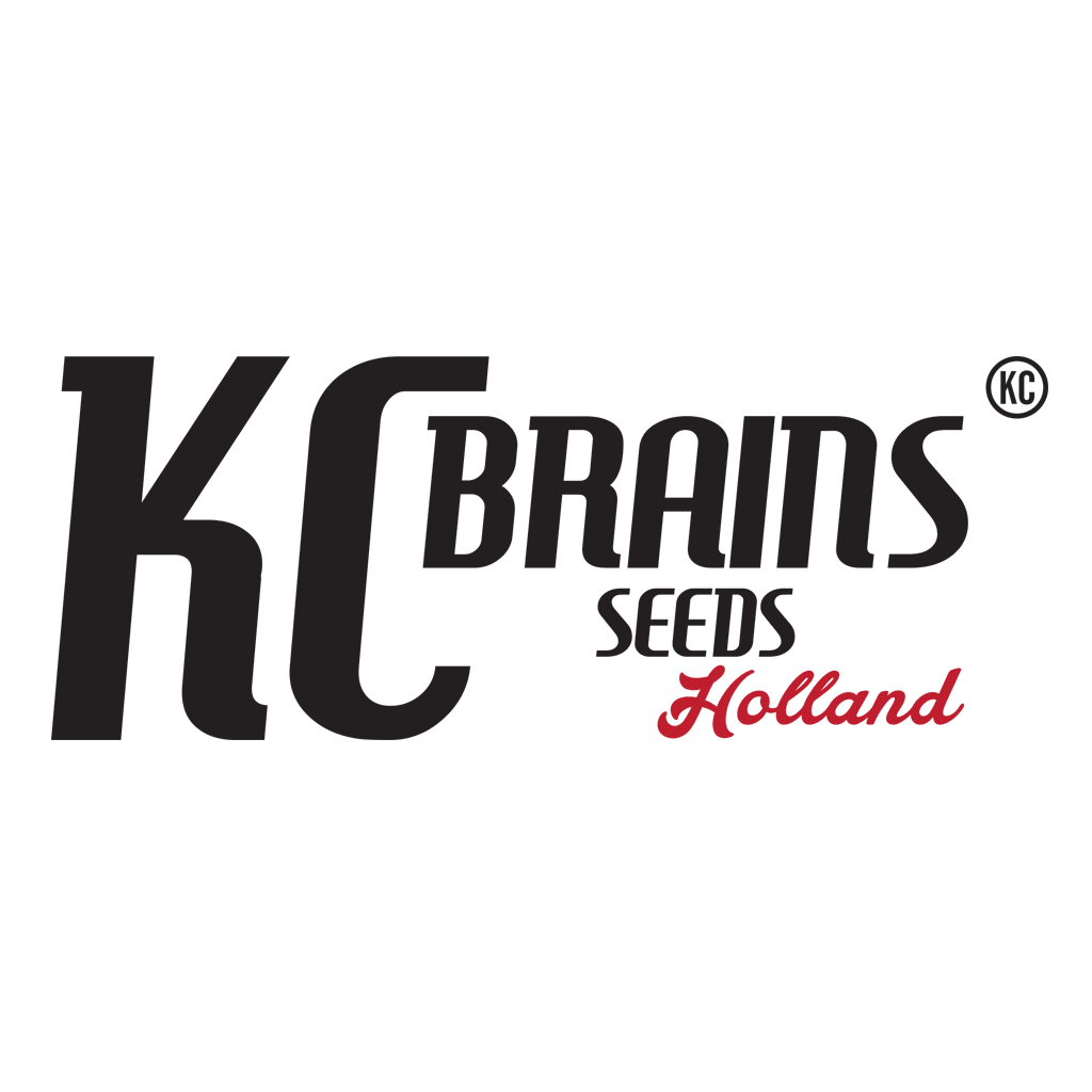 KC Brains