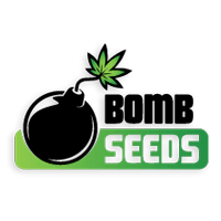 Bomb Seeds