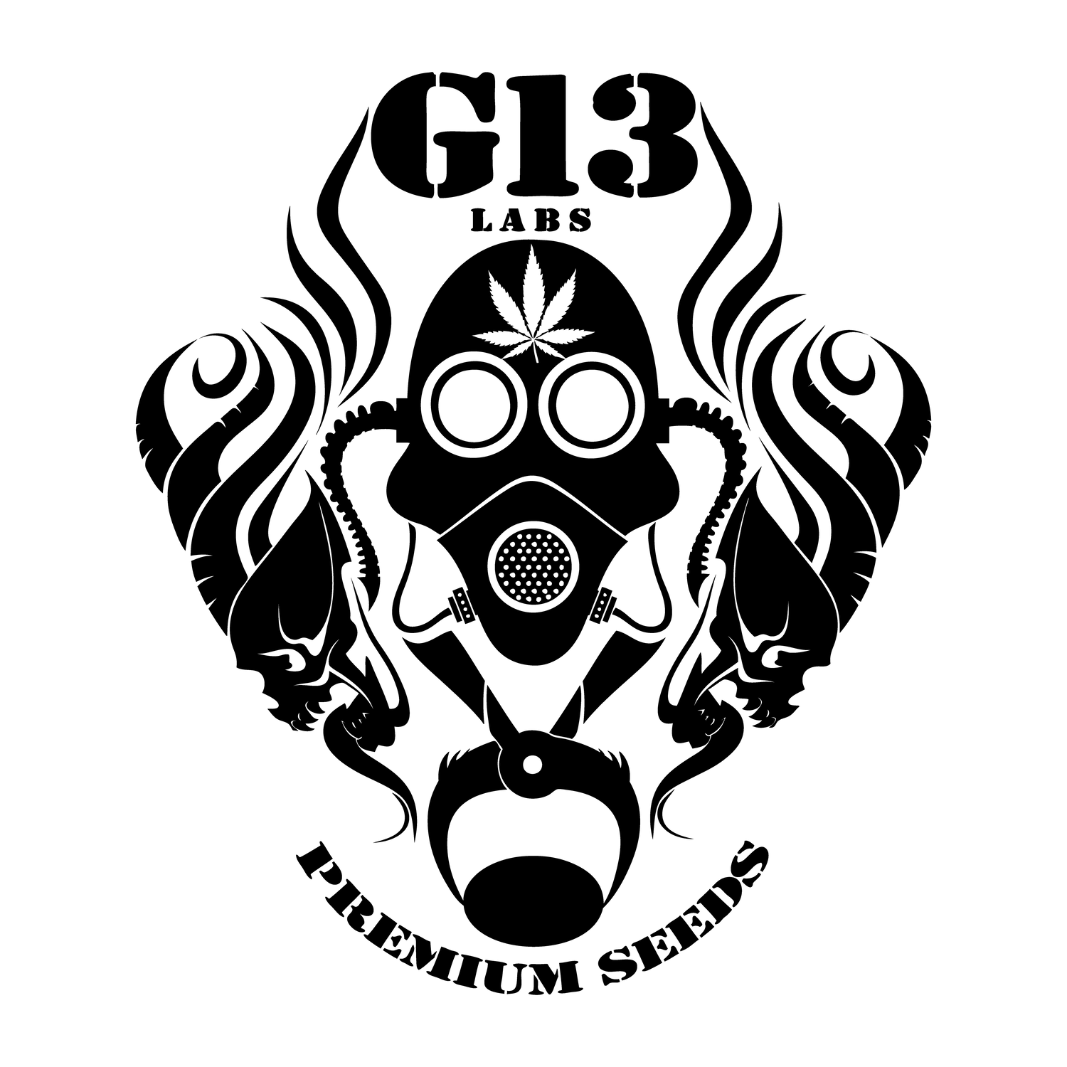 G13 Labs