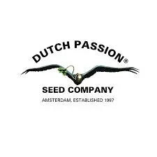 Dutch Passion