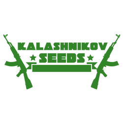 Kalashnikov Seeds