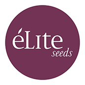 Elite Seeds