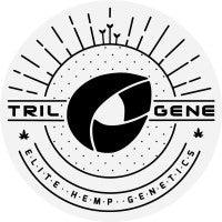 Trilogene Seeds