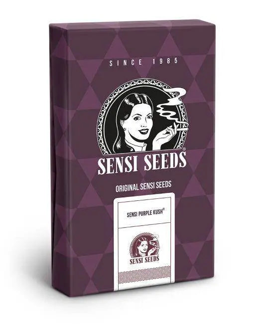 Sensi Purple Kush Feminisiert - HanfHeld