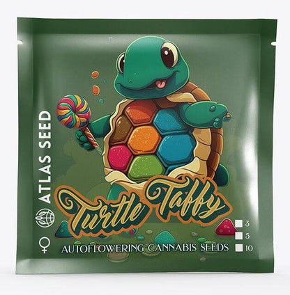 Turtle Taffy Auto Feminisiert