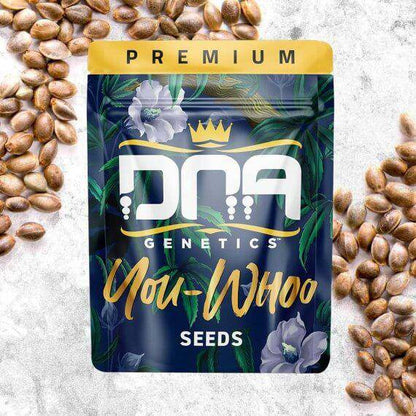 You-Whoo Regular Seeds - 6