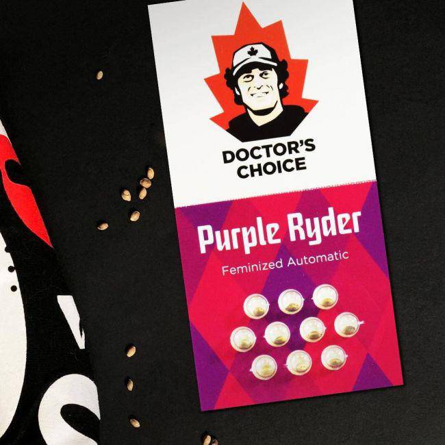 Purple Ryder Auto Feminisiert