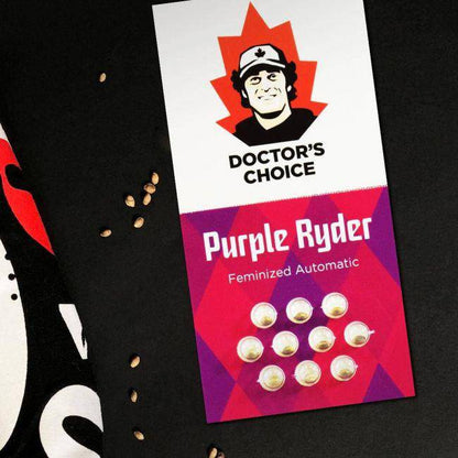 Purple Ryder Auto Feminisiert