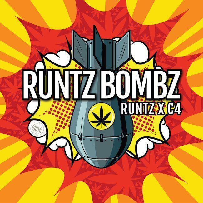 Runtz Bombz Feminsiert