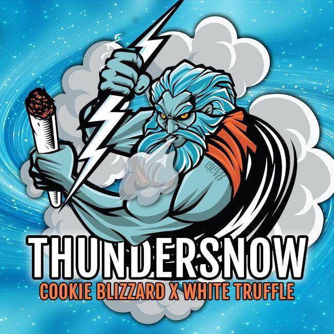 Thundersnow Feminisiert