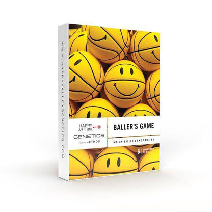 Baller's Game Feminisiert