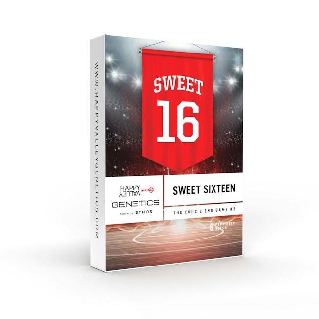 Sweet 16 Feminisiert