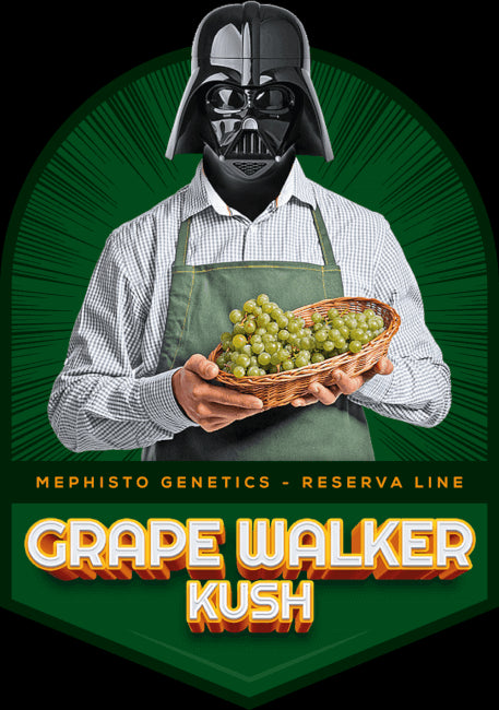 Grapey Walter Auto Feminisiert