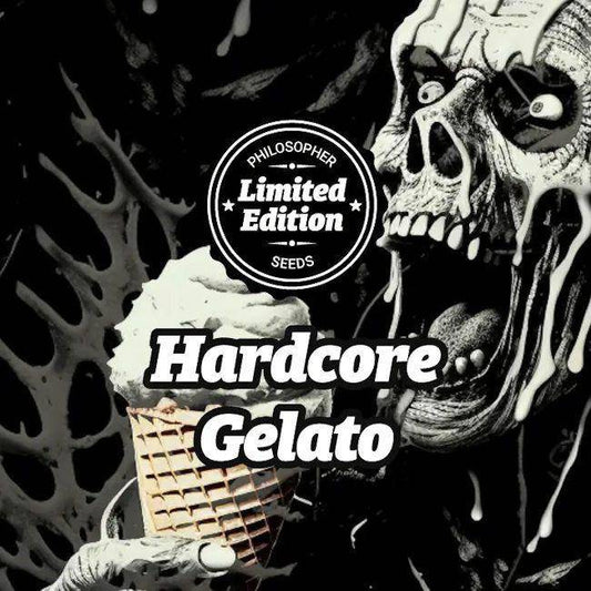 Hardcore Gelato Feminisiert