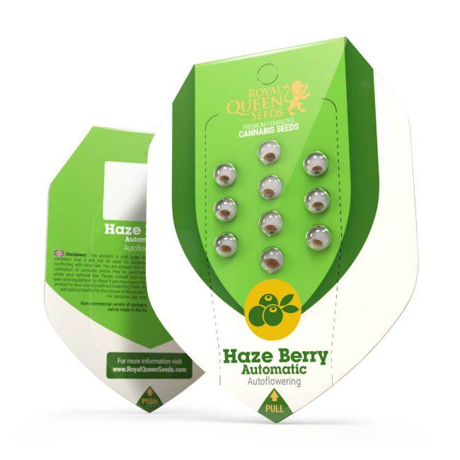 Haze Berry Auto Feminisiert