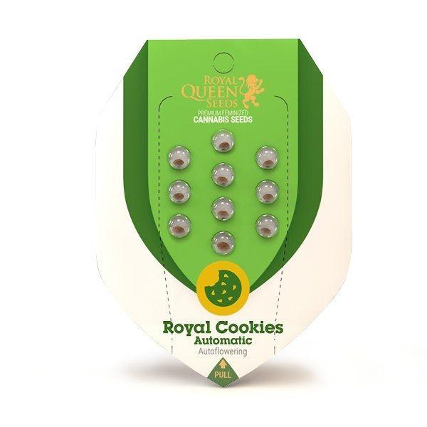 Royal Cookies Auto Feminisiert