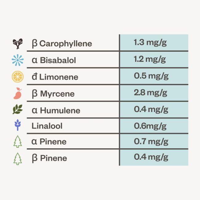 Peyote Wi-Fi CBD 2:1 Feminisiert