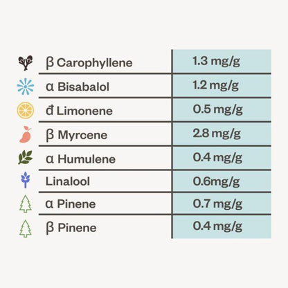 Peyote Wi-Fi CBD 2:1 Feminisiert