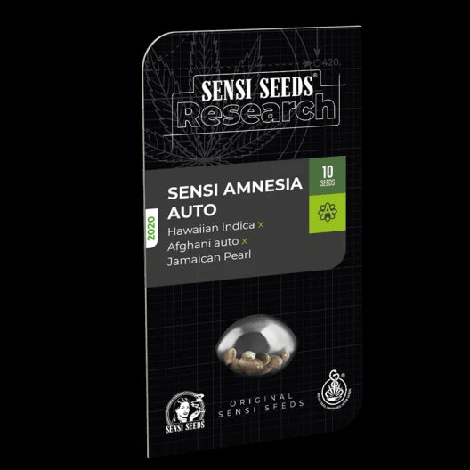 Sensi Amnesia Auto Feminisiert