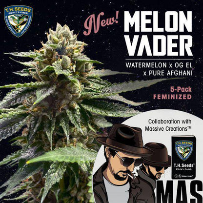 Melon Vader Feminisiert