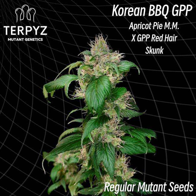 Korean BBQ GPP Regulär