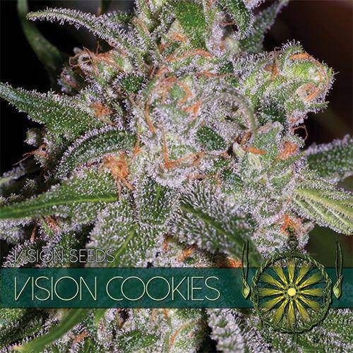 Vision Cookies Feminisiert