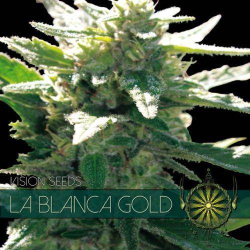 La Blanca Gold Feminisiert