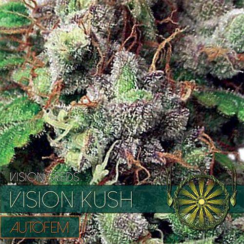 Vision Kush Auto Feminisiert